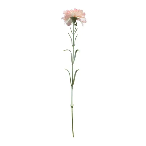 Karafiát – vetvička 53 cm light pink GK700 